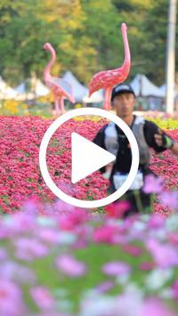 BIB:  <button type="button" onclick="openModal(27583063)" class="btn btn-primary btn-sm float-right" data-toggle="modal" data-target=".modal-high-quality">
                <i class="fa fa-download"></i> Download
                </button>